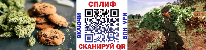 дарнет шоп  Безенчук  Canna-Cookies марихуана 