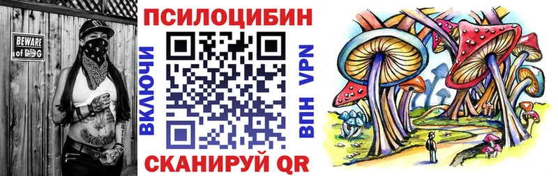 мега онион  Безенчук  Псилоцибиновые грибы мухоморы 